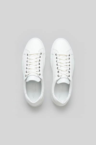 A pair of Robert Barakett Terrence Leather Sneakers by Robert Barakett, crafted from premium Italian calfskin, are displayed side by side on a light gray background in a top-down view.